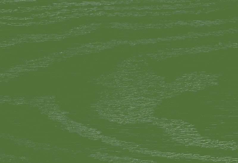 Fern Green Color Swatch