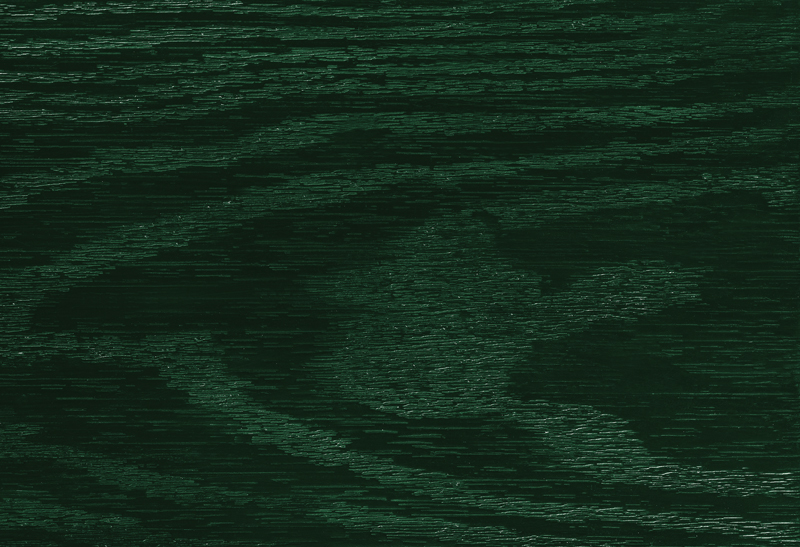Green Color Swatch